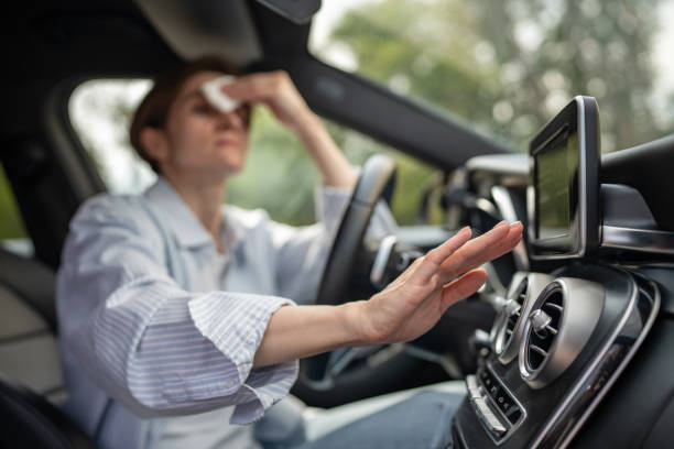 Best Air Conditioning Cleaning in Au Sable, MI