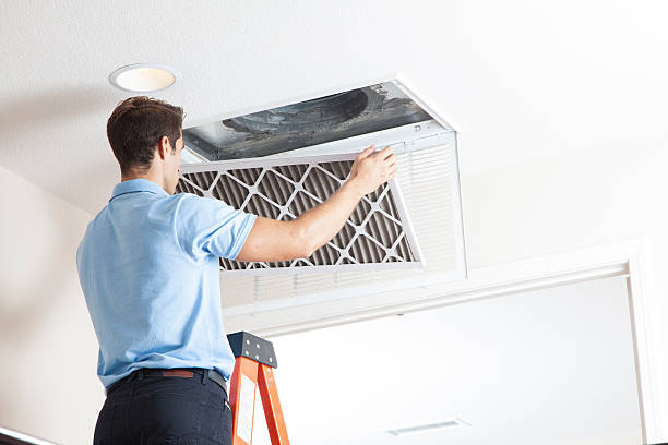 Best Ductless Mini-Split Systems in Au Sable, MI